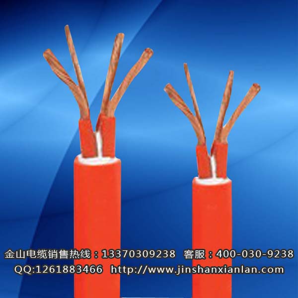 戶外升降機電纜FTCWYJ、FCTW...